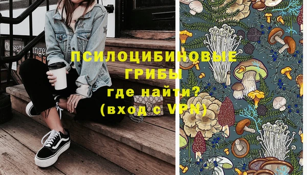 бошки Зеленокумск