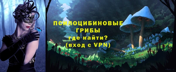 бошки Зеленокумск